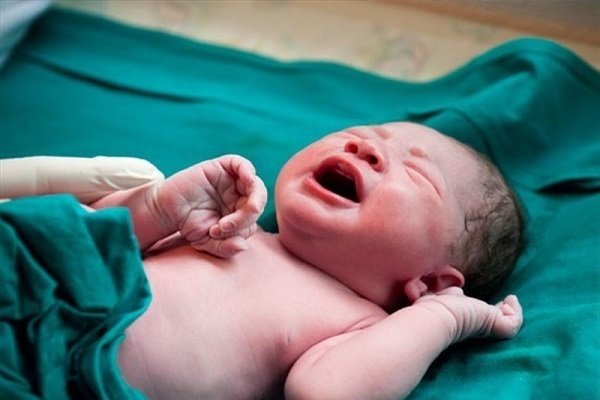 تولد پسرها در استان بوشهر ۹ درصد بیشتر از دخترها بوده است