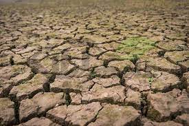 میزان فرسایش خاک در استان بوشهر ۲۵ تن در هکتار است