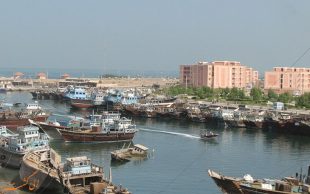 چرا گناوه را برای زندگی انتخاب کردم؟