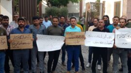 اعتراض گوجه کاران استان بوشهر به افزایش تعرفه صادرات