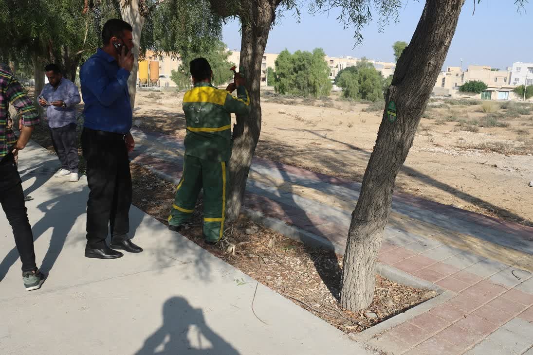 پلاک‌ کوبی و شناسنامه دار کردن الکترونیکی درختان شهر عالیشهر