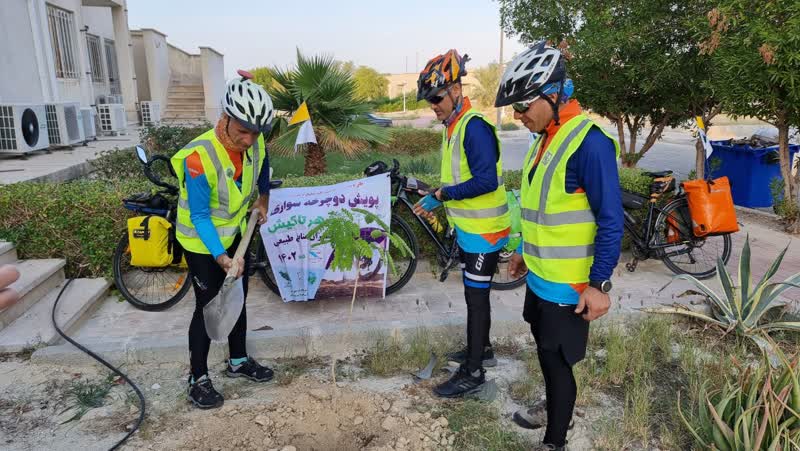 دوچرخه سواران از بوشهر تا کیش درخت کاشتند
