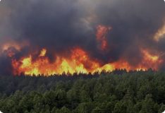 پیشگیری از آتش‌سوزی در جنگل‌ها و مراتع