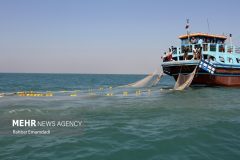 «دریابست» یک‌هفته‌ای در آب‌های بوشهر/ صید از ۱۳ مرداد آغاز می‌شود