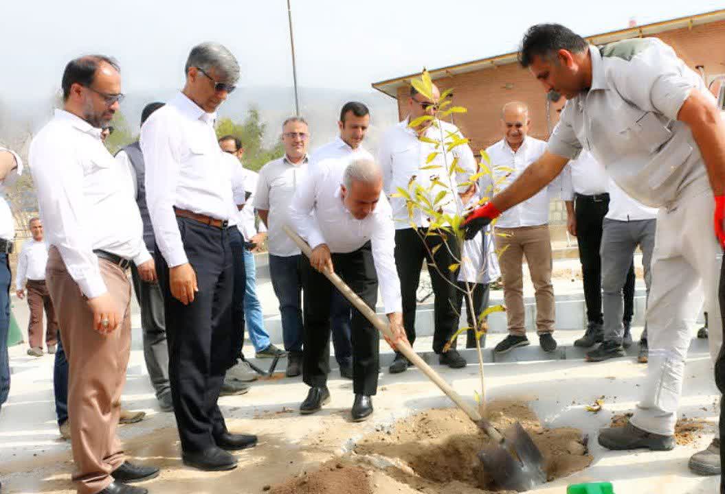 کاشت ۳۰۰ اصله نهال از سوی کارکنان پالایشگاه اول مجتمع گاز پارس جنوبی