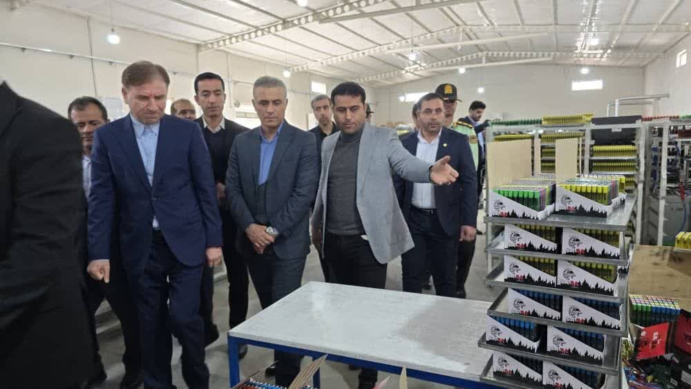 تاکید استاندار بوشهر بر حمایت از فعالان اقتصادی و کارآفرینان شهرستان گناوه