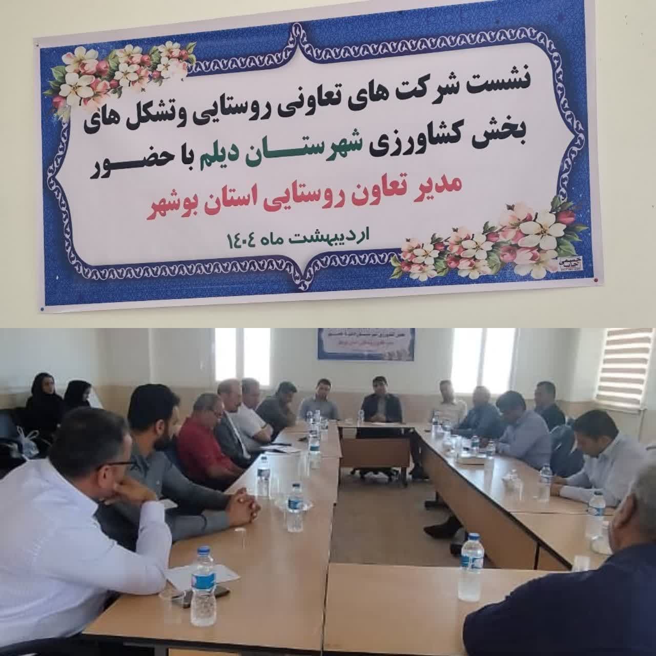 نشست مدیر سازمان تعاون روستایی استان بوشهر با تعاونی ها و تشکل های بخش کشاورزی شهرستان دیلم