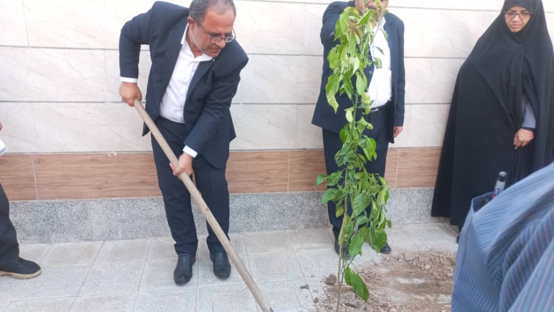 فضای سبز در شهرستان بوشهر توسعه می یابد