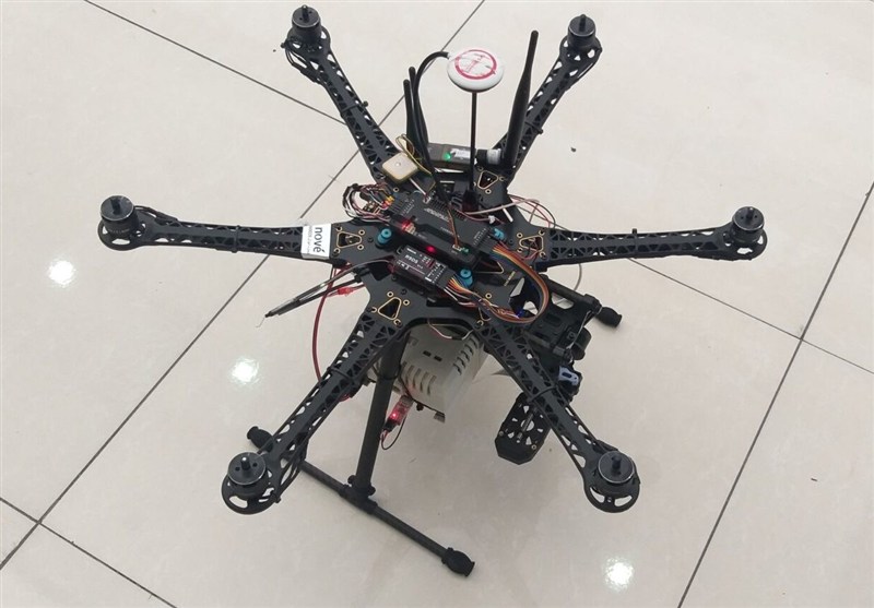 کشف تعداد قابل توجهی ریزپرنده در استان بوشهر