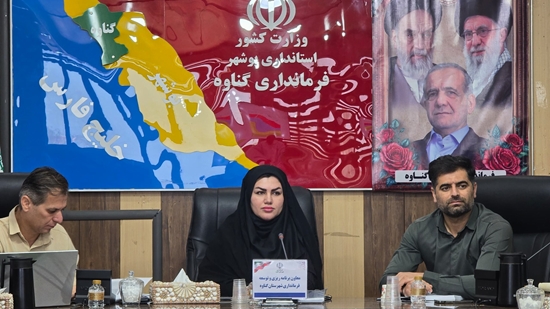 معاون فرماندارگناوه: ایجاد اشتغال اولویت دستگاه های اجرایی قرار گیرد