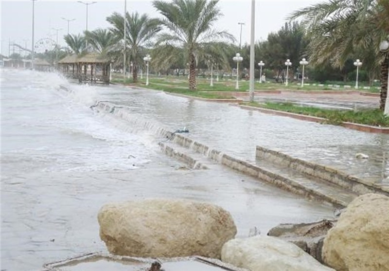  رکورد ثبت بارش باران در استان بوشهر